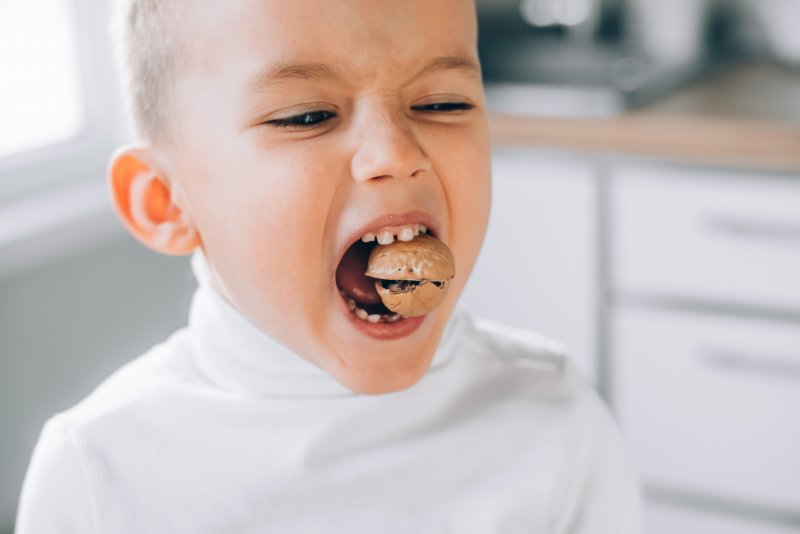 Boy tries to bite walnut.